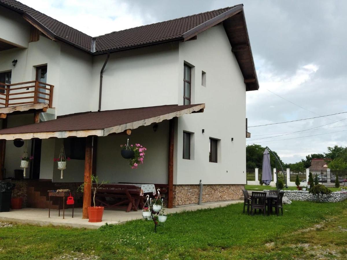 Pensiunea Casa Nusa Baia de Fier Dış mekan fotoğraf