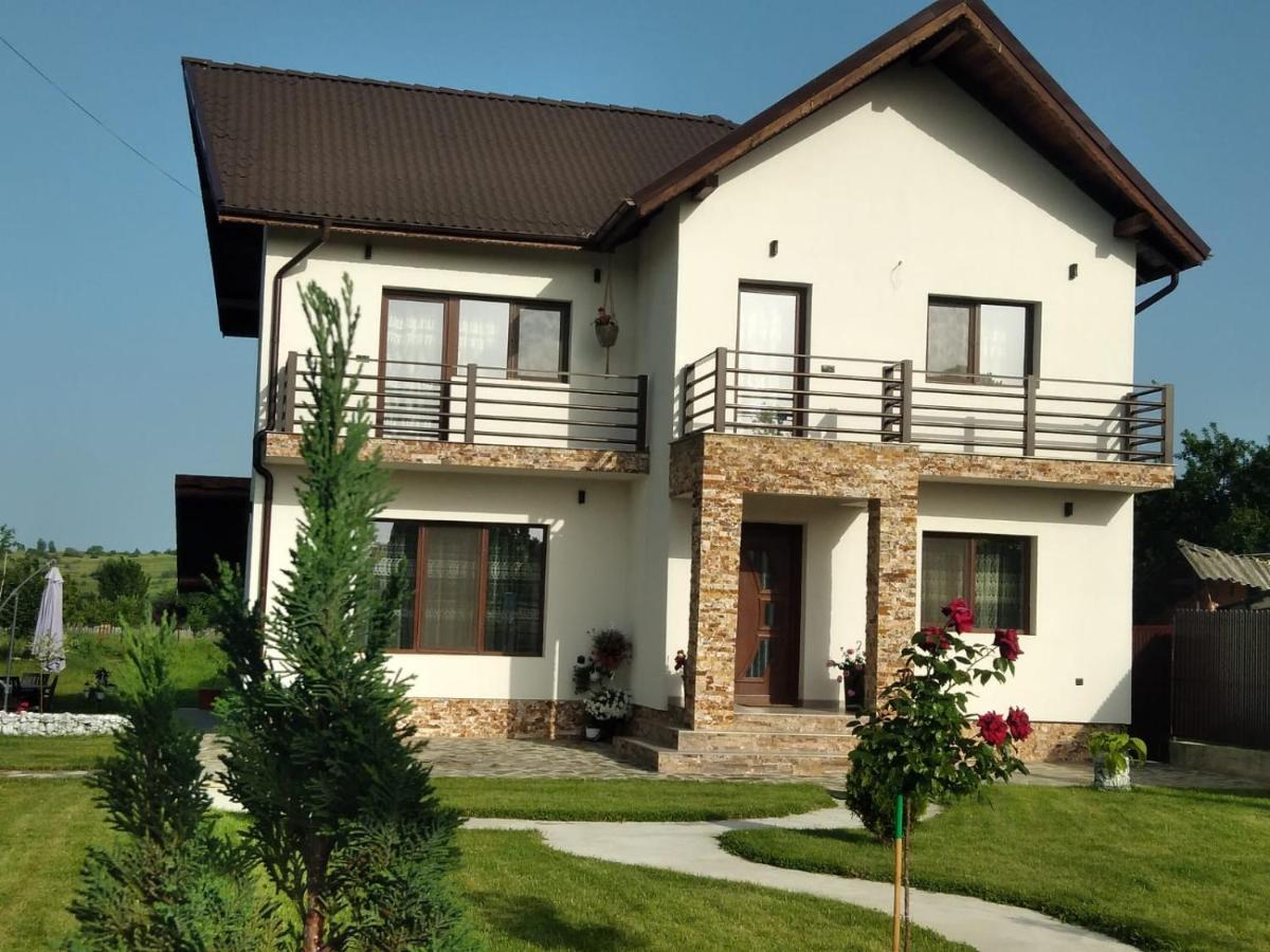 Pensiunea Casa Nusa Baia de Fier Dış mekan fotoğraf